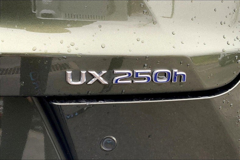 2021 Lexus UX UX 250h Luxury in Egg Harbor Township, NJ - Matt Blatt Auto Group