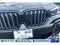 2022 BMW X6 M50i