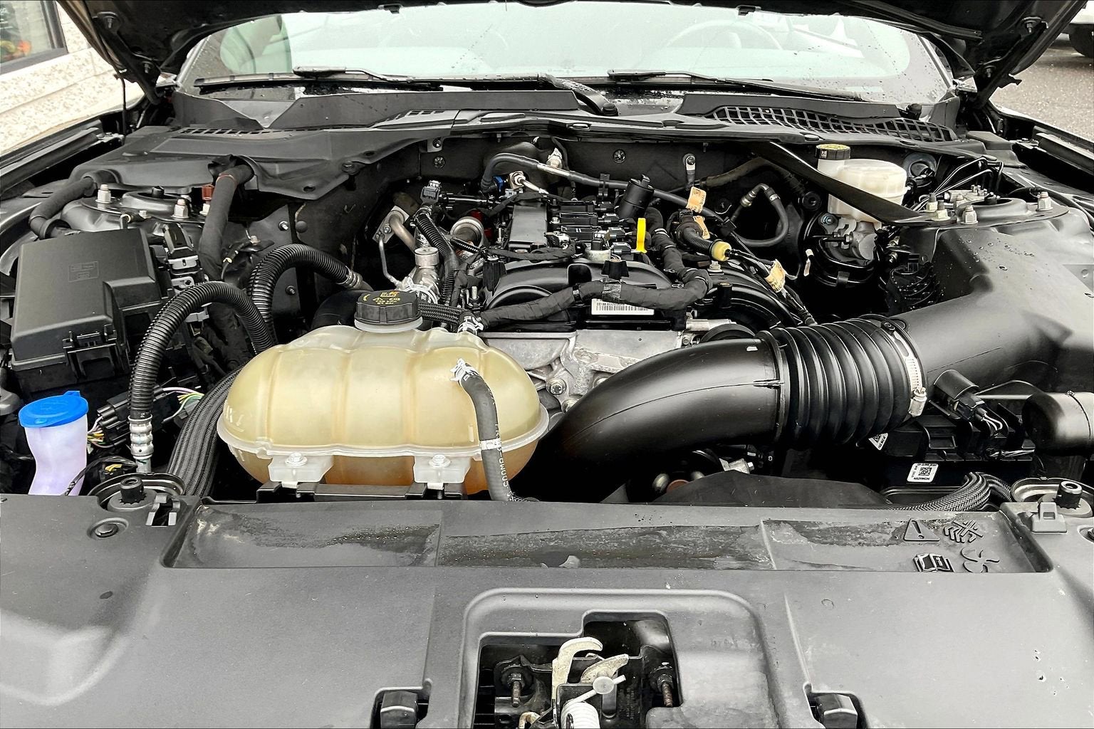 2023 Ford Mustang Eco Premium