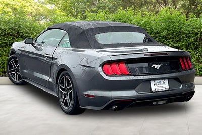2023 Ford Mustang Eco Premium