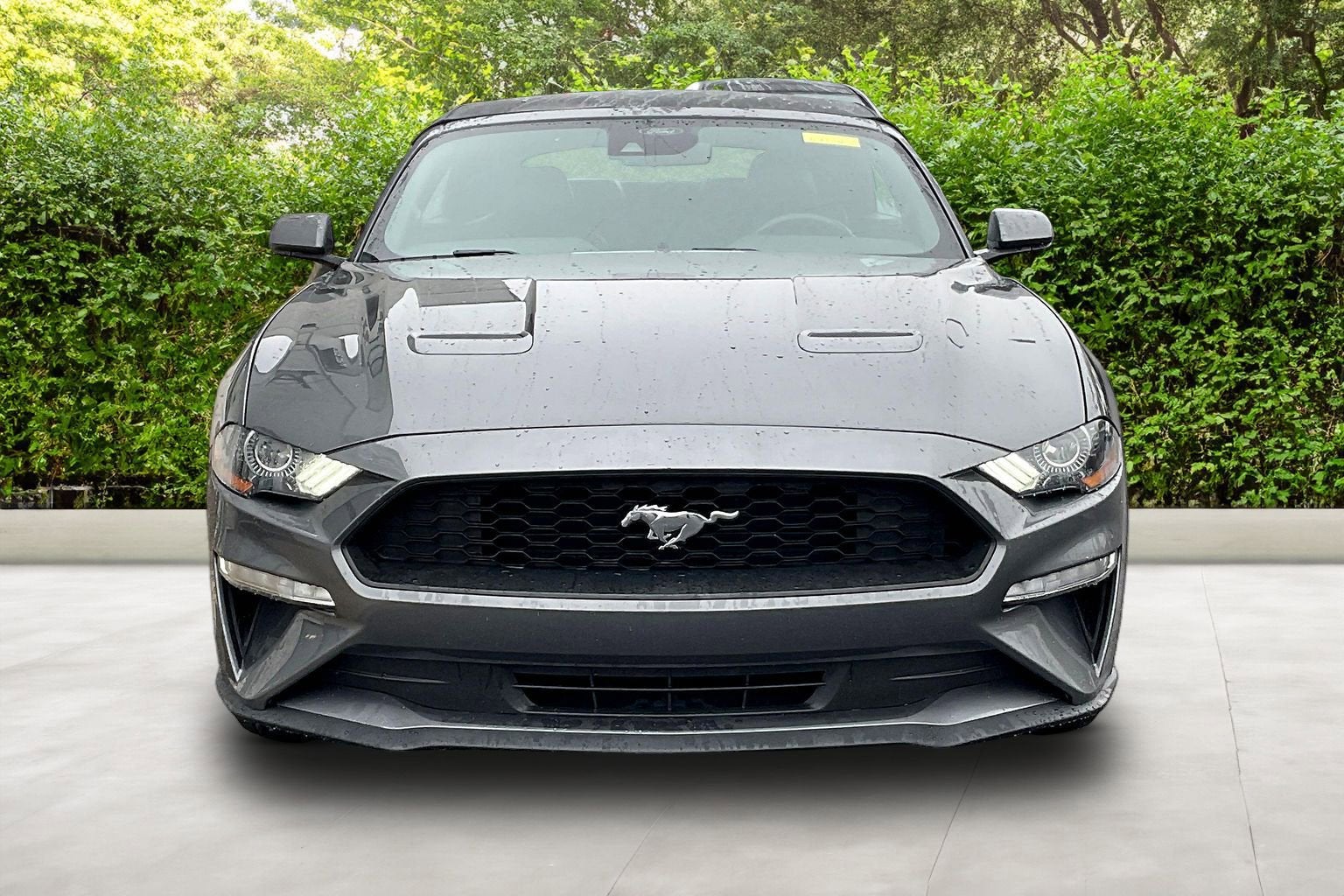 2023 Ford Mustang Eco Premium