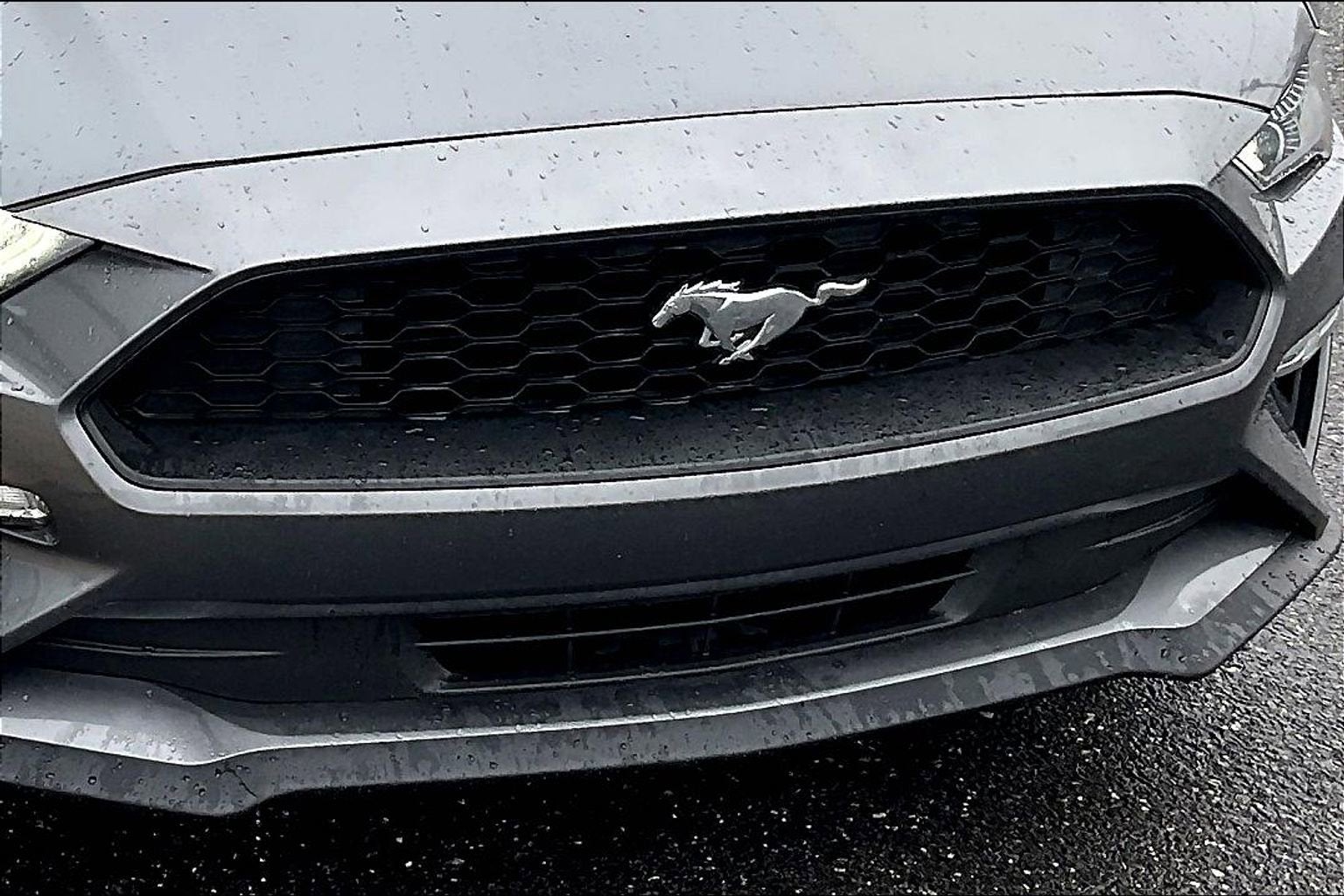 2023 Ford Mustang Eco Premium