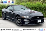 2023 Ford Mustang Eco Premium