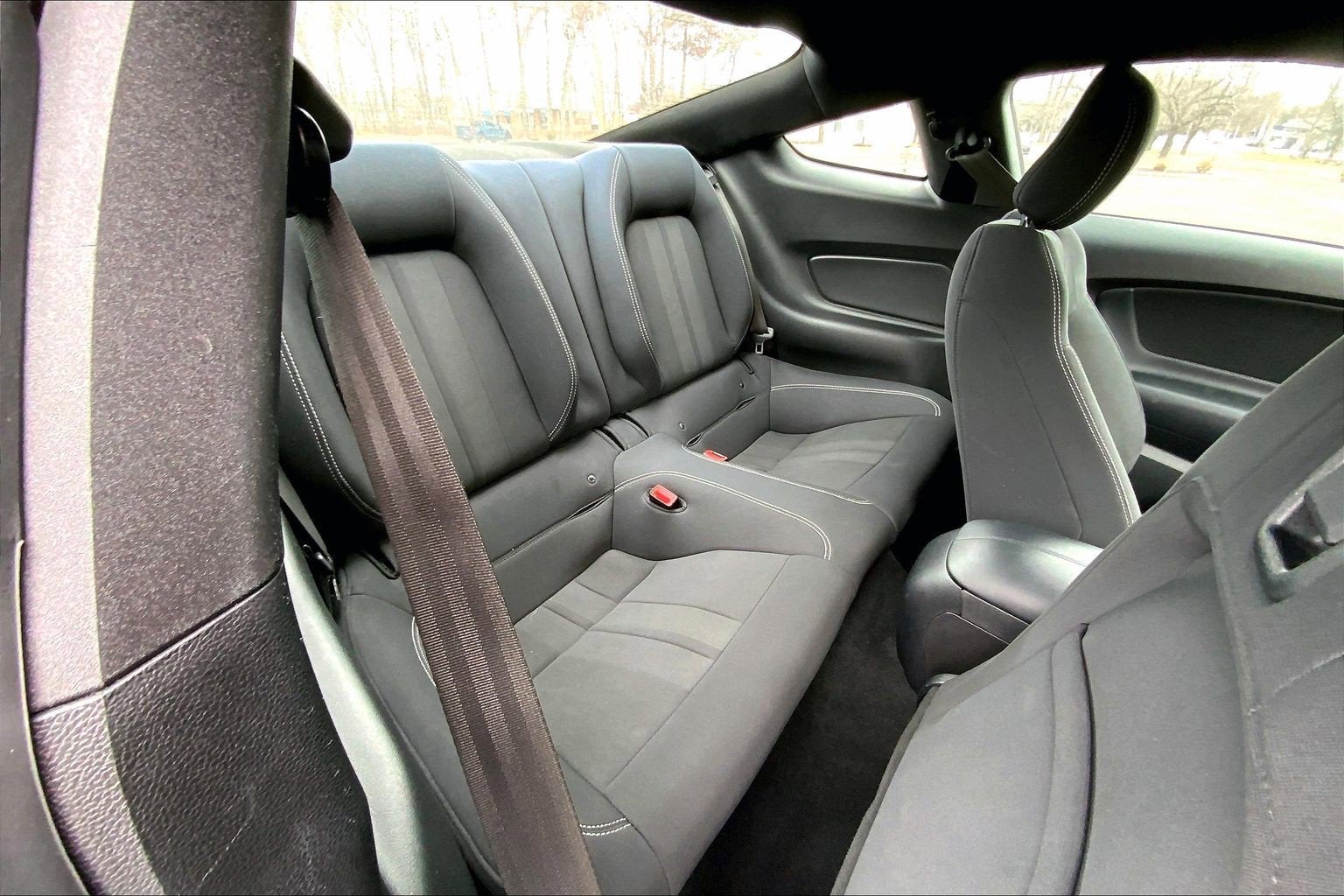 2019 Ford Mustang Eco