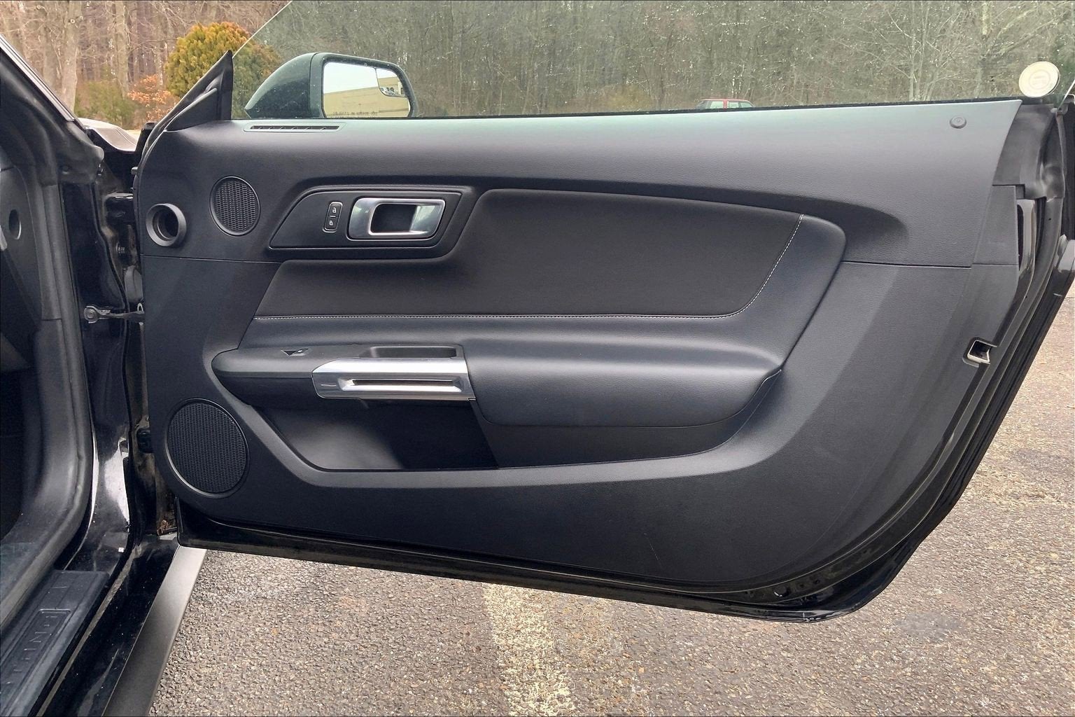 2019 Ford Mustang Eco