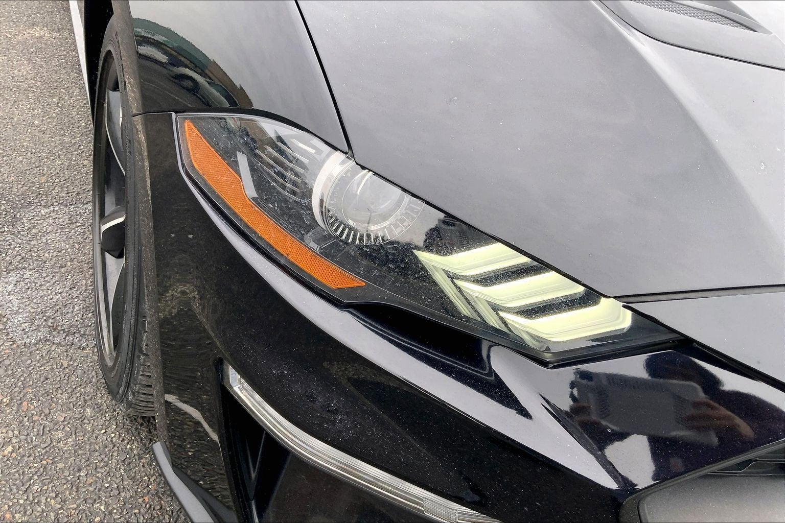 2019 Ford Mustang Eco