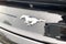 2019 Ford Mustang Eco